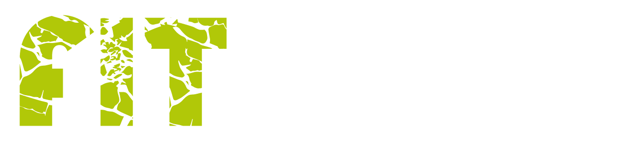 Fit Zone logo til fitness hjememside